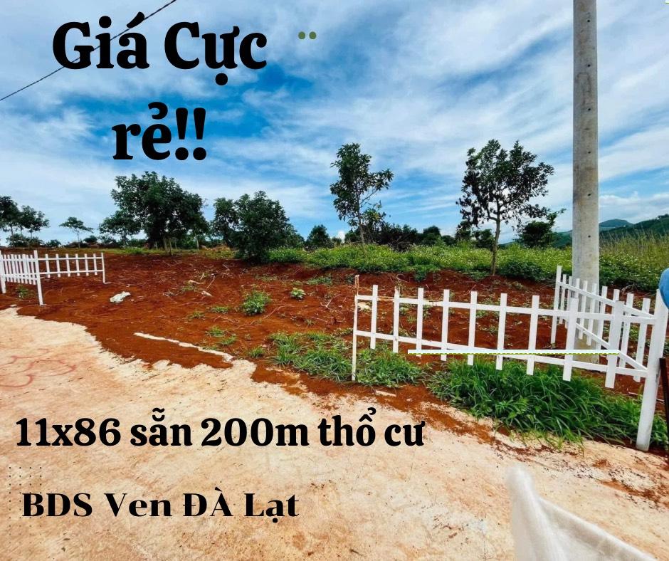 Đất thổ cư Nam Ban 944m2 đường bê tông 5m, thế đất bằng phẳng có 200m2 thổ cư,